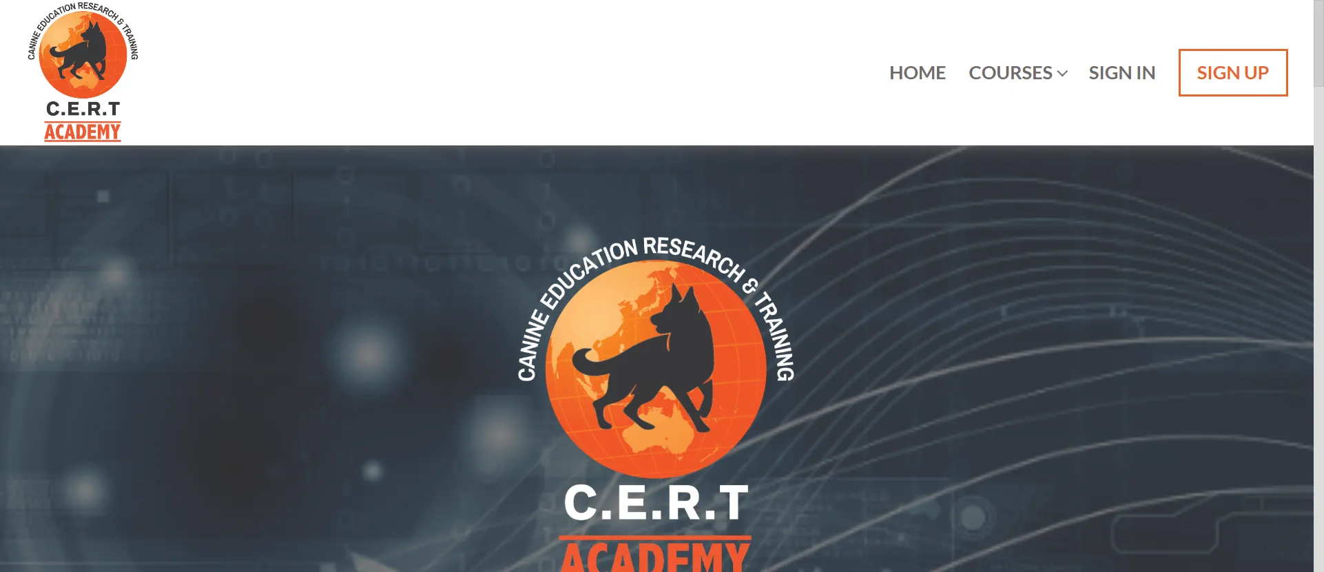 Cert Academy Australia Case Study Preview