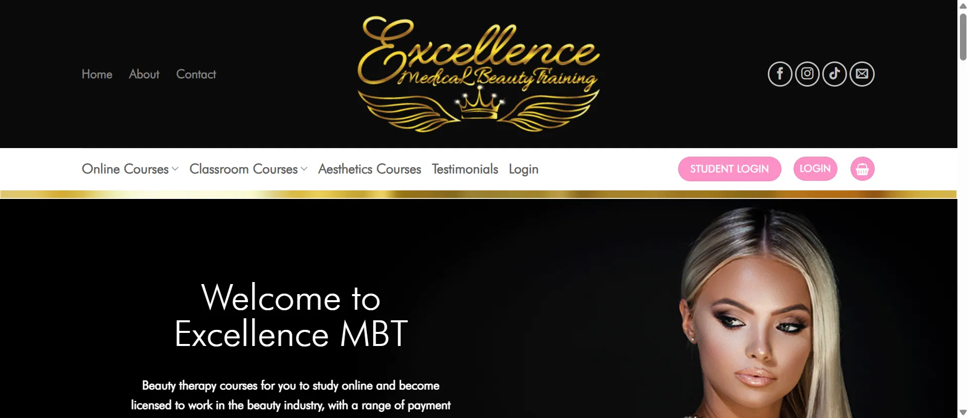 Excellence in Beauty Case Study Preview