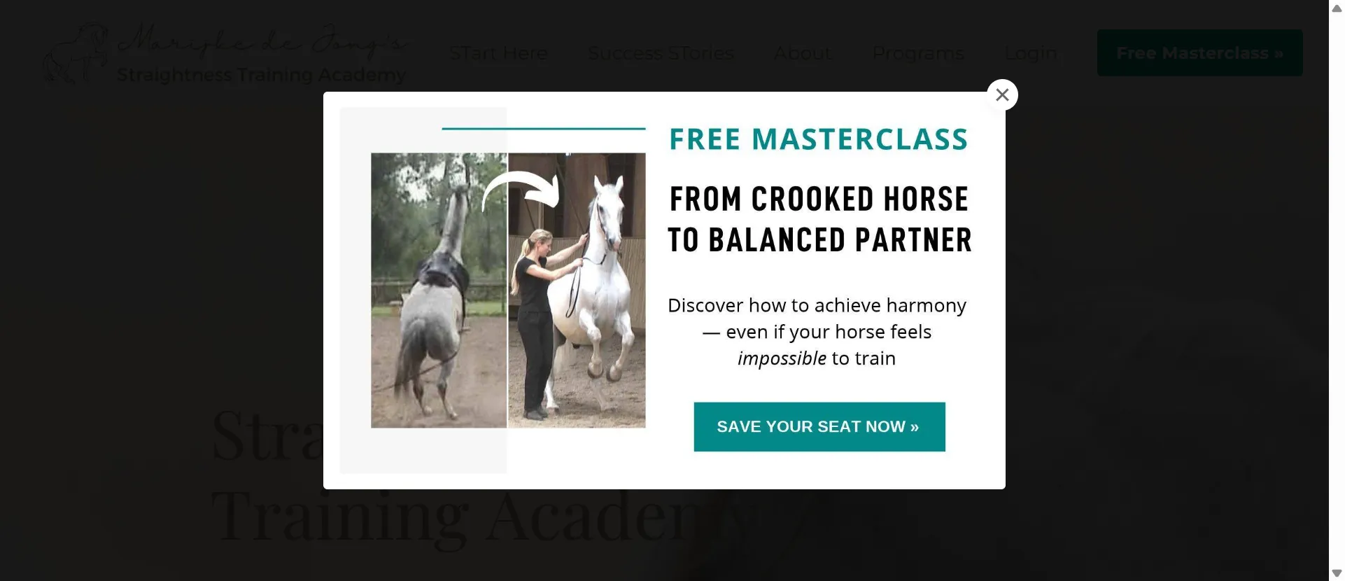 Straightness Training Academy Case Study Preview